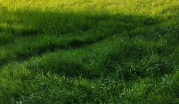 Działka na sprzedaż bez pośredników 
 
 Annowo - Widok 5