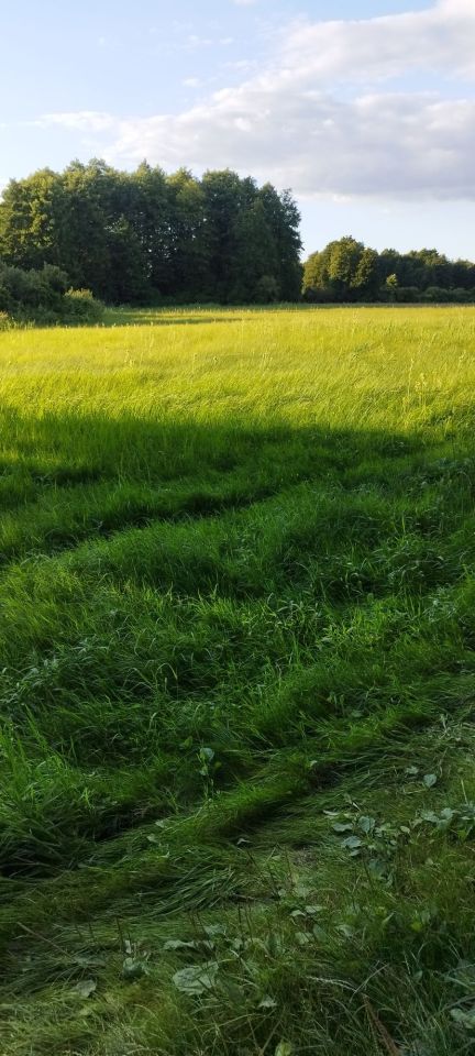 Działka rolna Wiewiórczyn. Zdjęcie 1