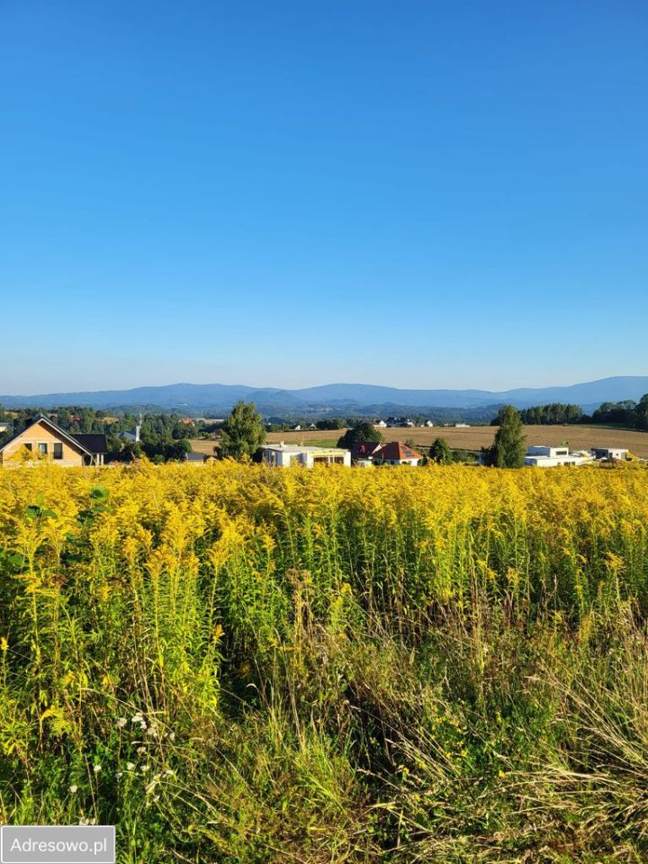 Działka budowlana Dziwiszów, ul. Słoneczna. Zdjęcie 5