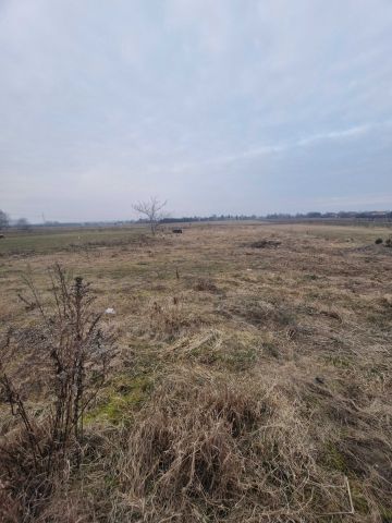 Działka rolno-budowlana Szopinek. Zdjęcie 1