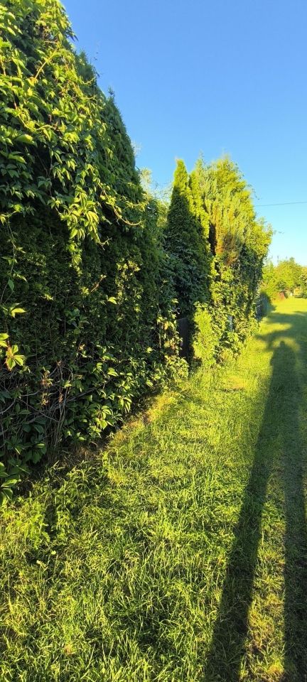 Działka rod Rumia, ul. Kosynierów. Zdjęcie 2
