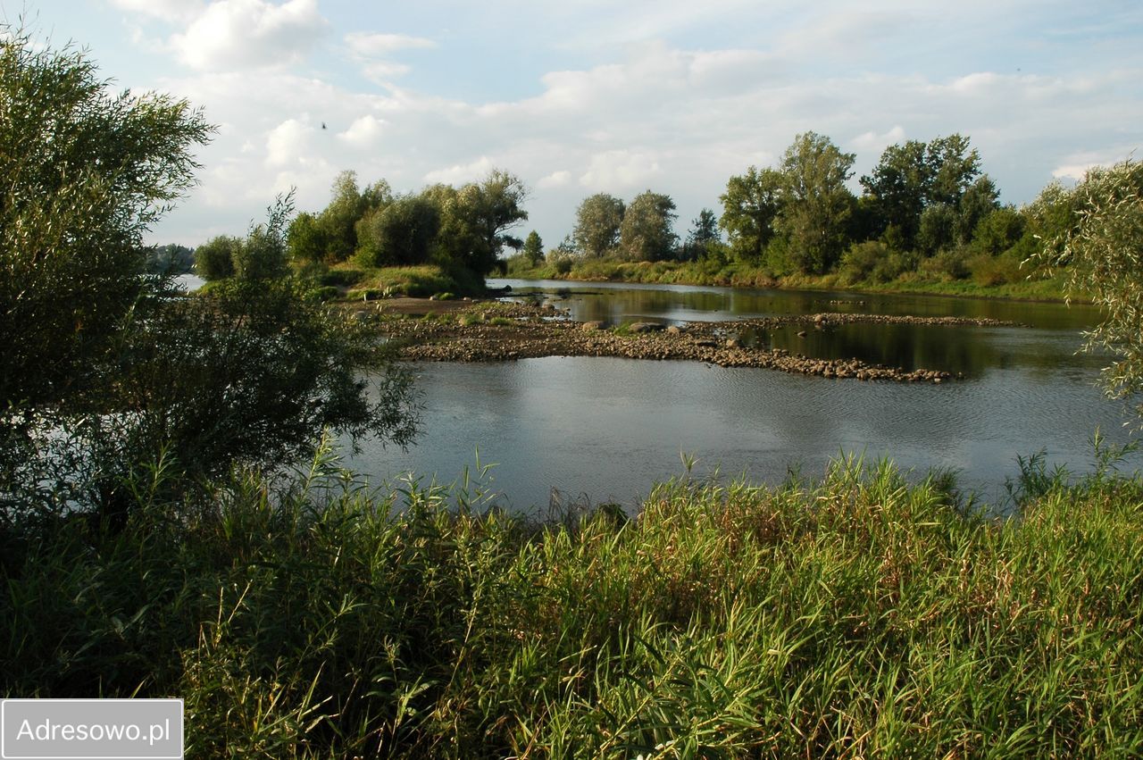 Działka Bobrownickie Pole. Zdjęcie 10