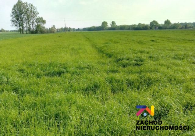 Działka budowlana Książ Śląski. Zdjęcie 1