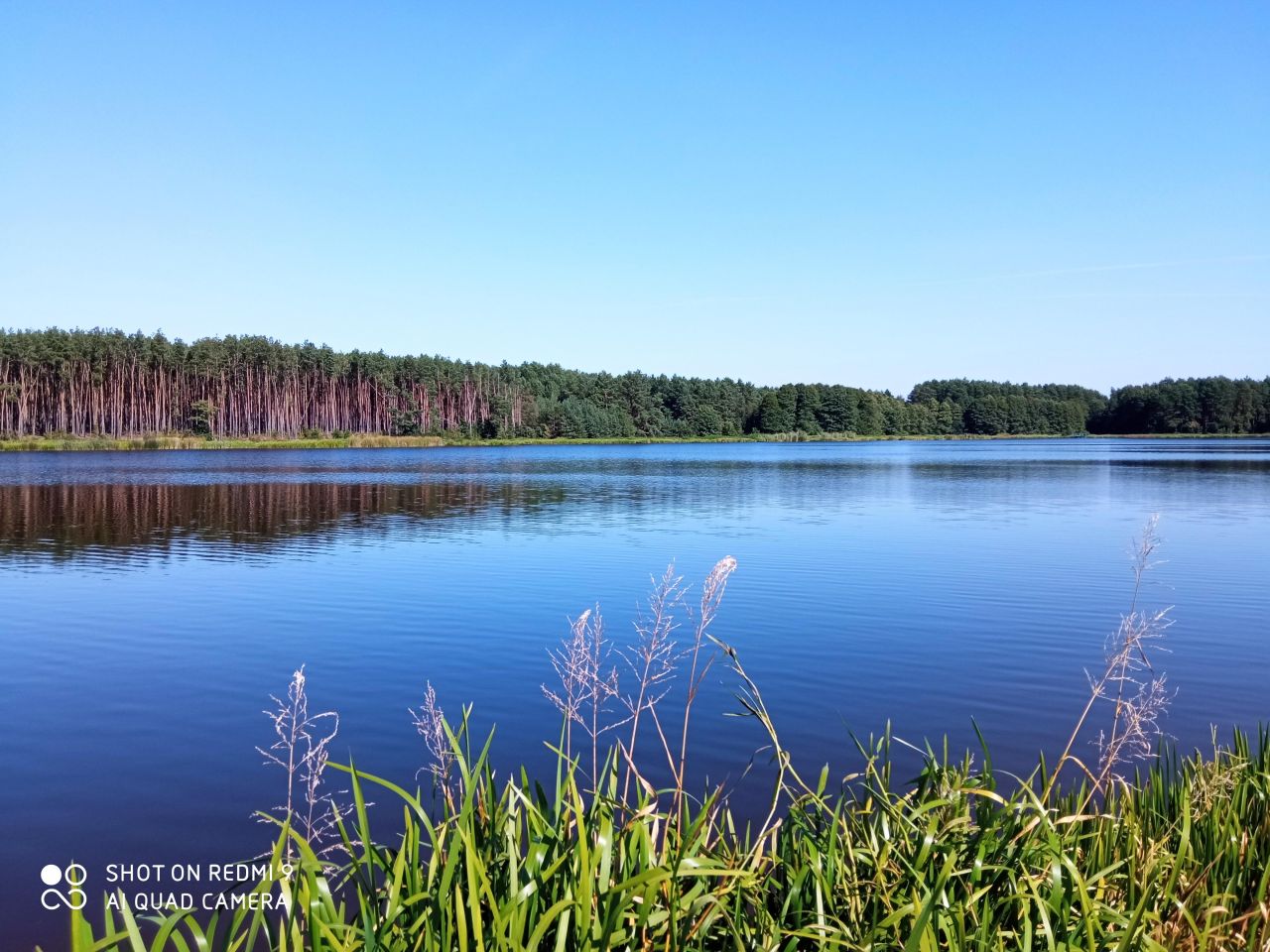 siedlisko, 1 pokój Ławeczko Stare. Zdjęcie 44