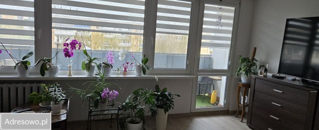 Mieszkanie 2-pokojowe Konstantynów Łódzki, ul. Zgierska. Zdjęcie 1