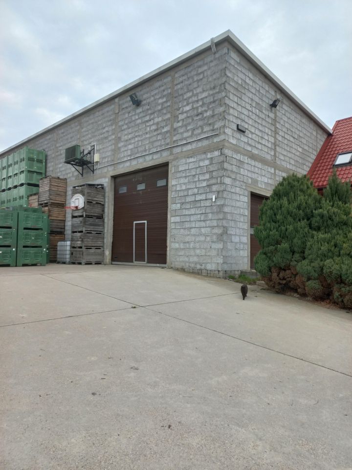 Hala/magazyn Wilków Drugi, Wilków Drugi. Zdjęcie 3