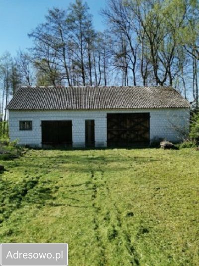 siedlisko, 2 pokoje Raszewo Włościańskie. Zdjęcie 8