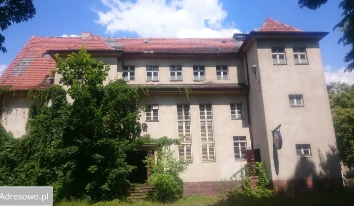 dom wolnostojący Trzciel, ul. Zbąszyńska