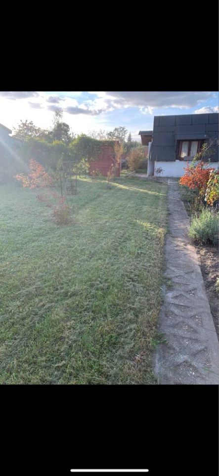 Działka rod Milicz. Zdjęcie 5