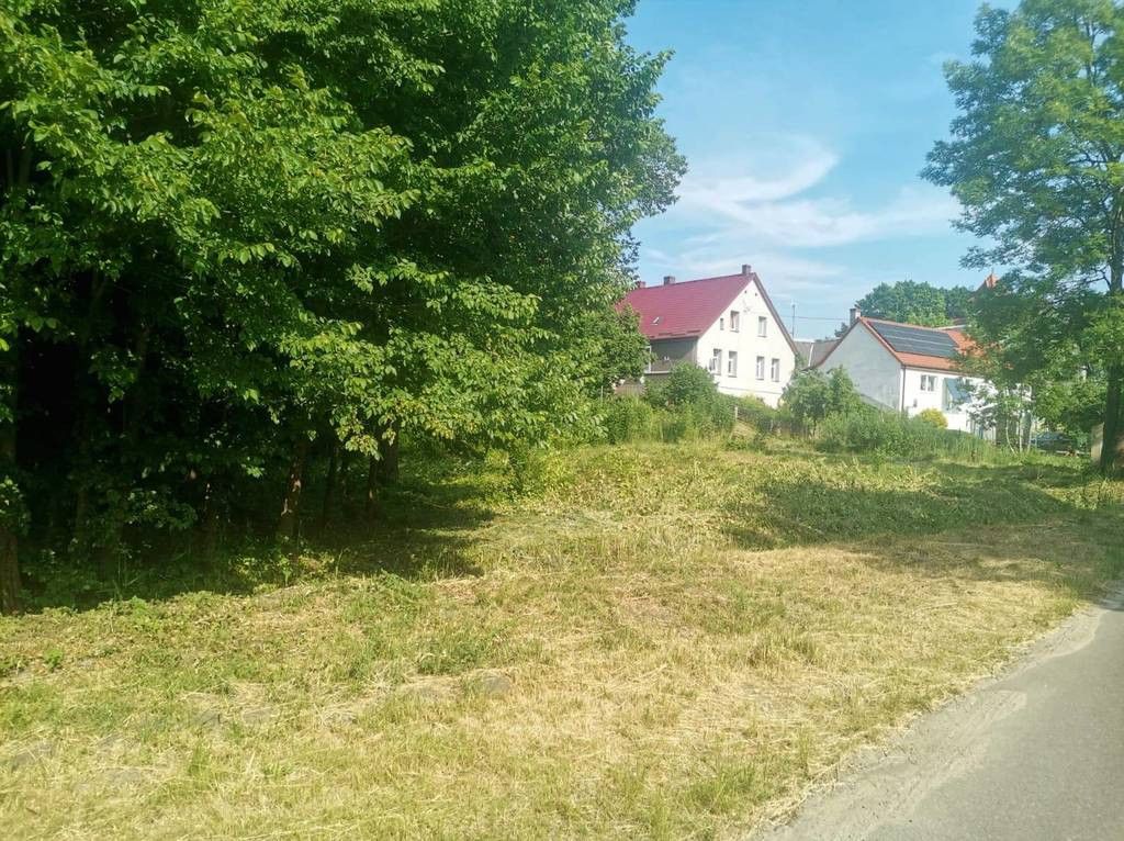 Działka siedliskowa Przystawy. Zdjęcie 4