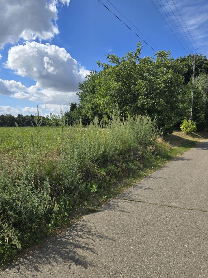 Działka rolno-budowlana Stok. Zdjęcie 5