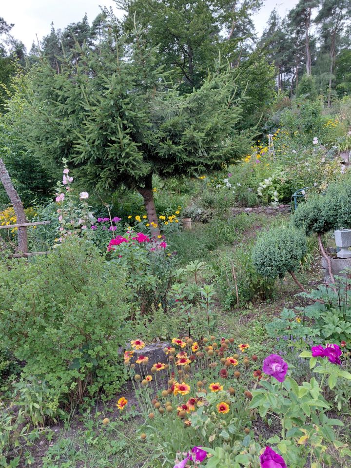 dom wolnostojący, 4 pokoje Sierpowo. Zdjęcie 23