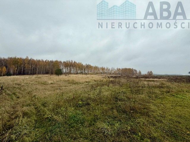 Działka inwestycyjna Wacławów. Zdjęcie 8