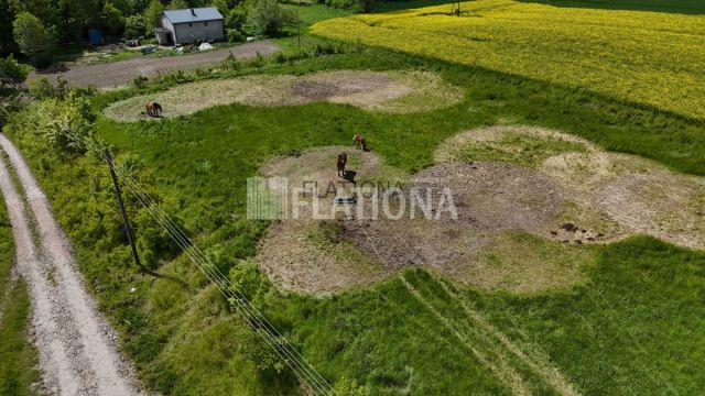 Działka rolna Dalwin. Zdjęcie 1