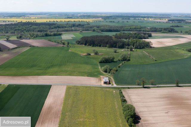 Działka rolna Zielątkowo. Zdjęcie 1
