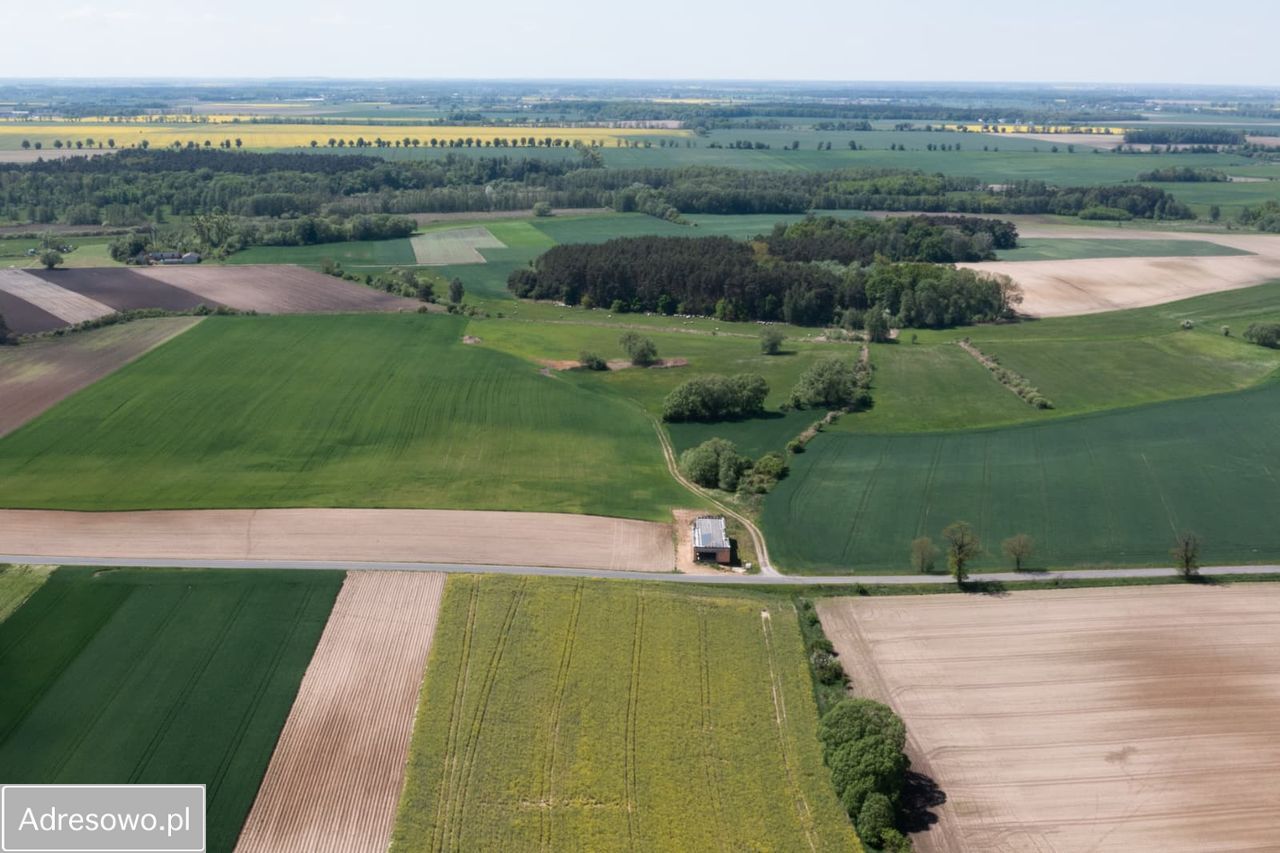 Działka rolna Zielątkowo. Zdjęcie 1