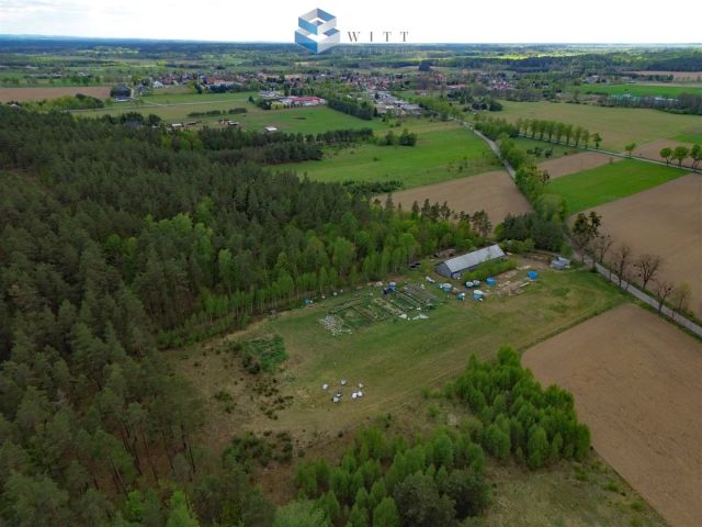 Lokal Łukta. Zdjęcie 17