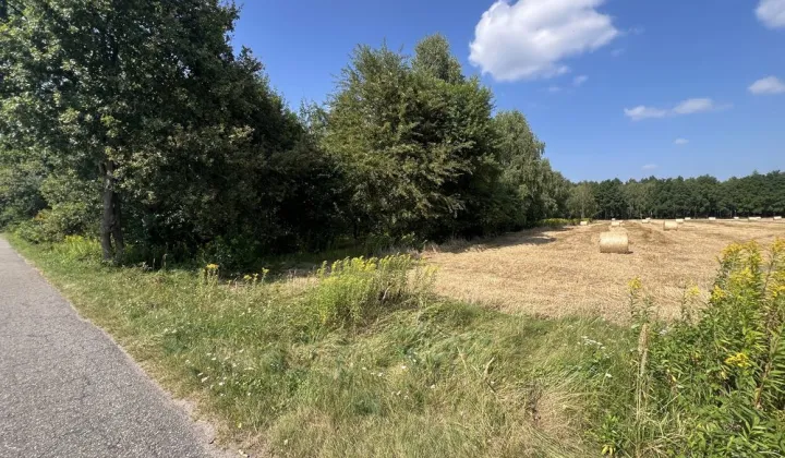 Działka rolna Konradów