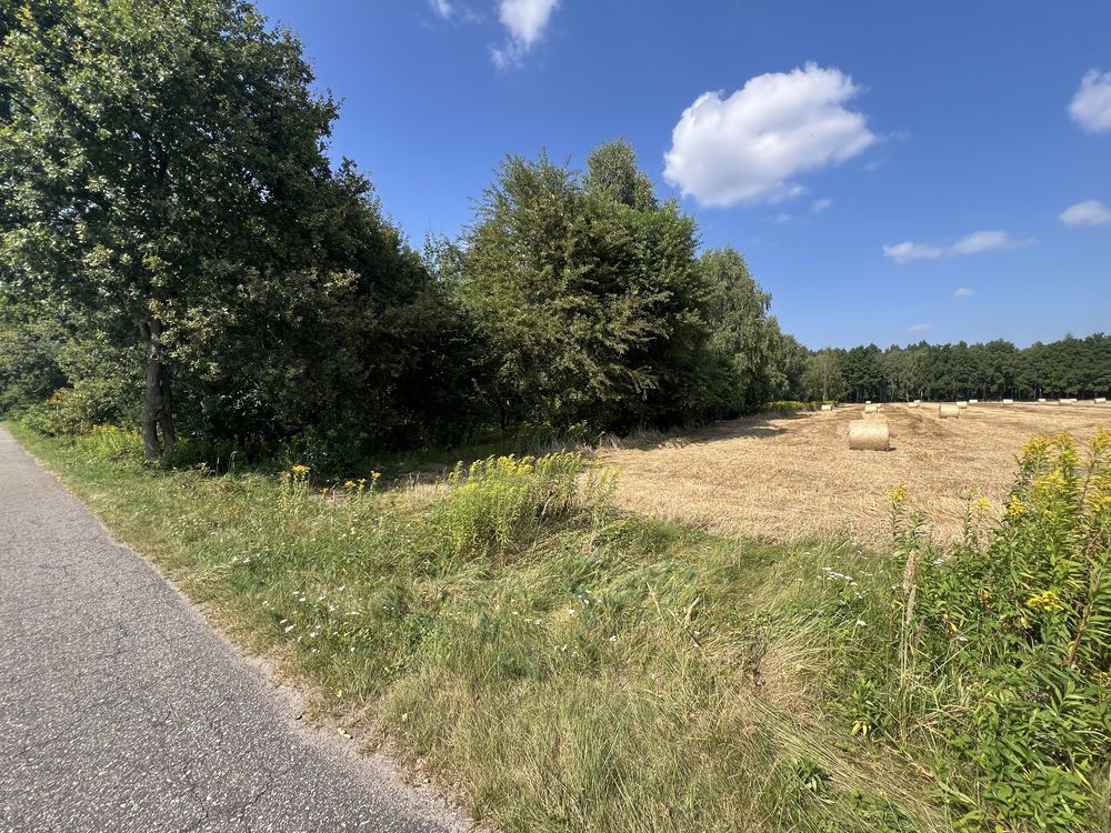 Działka rolna Konradów. Zdjęcie 1