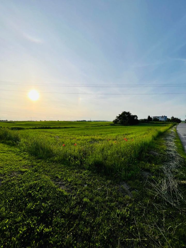 Działka rolno-budowlana Michałowo. Zdjęcie 4