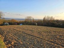 Działka rolno-budowlana Bolechowice. Zdjęcie 1