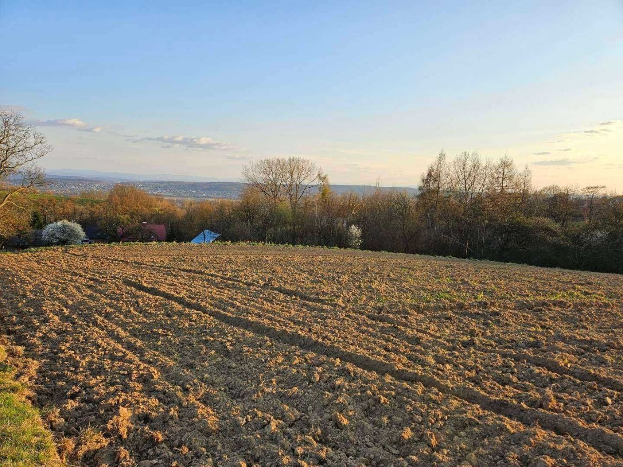 Działka rolno-budowlana Bolechowice. Zdjęcie 2