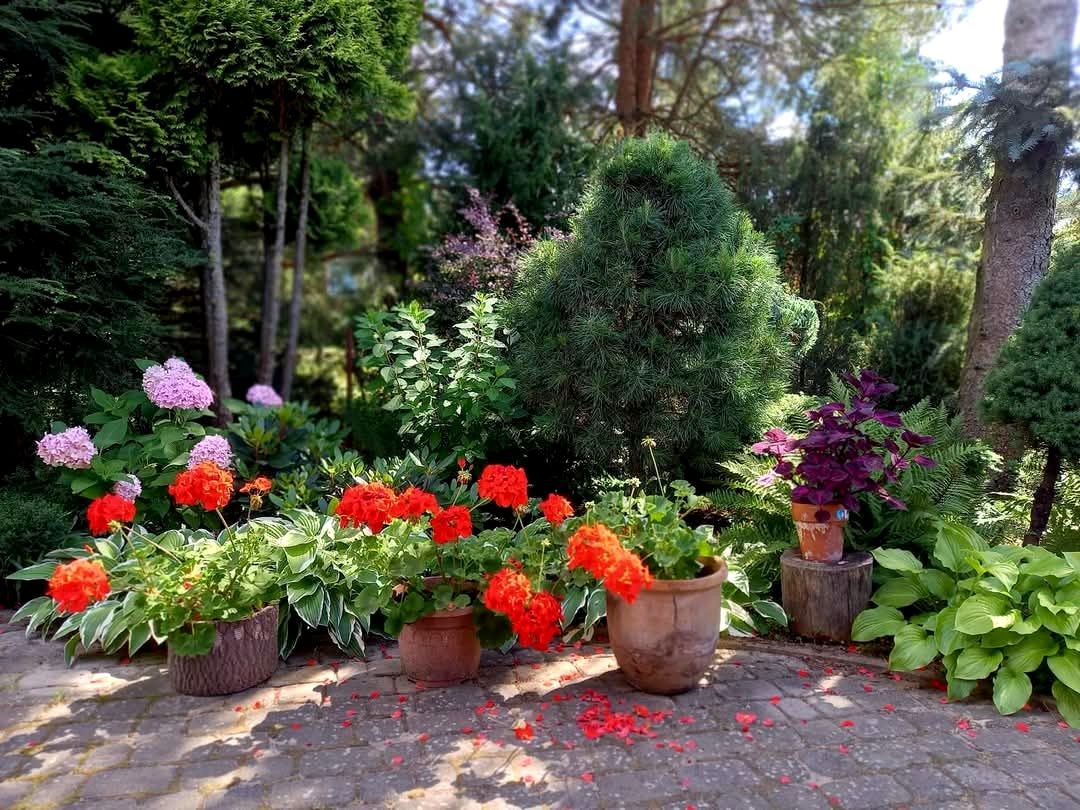 Działka rod Niewodnica Kościelna, ul. Działkowców. Zdjęcie 11