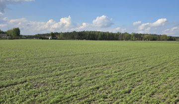 Działka rekreacyjna Skrzynka