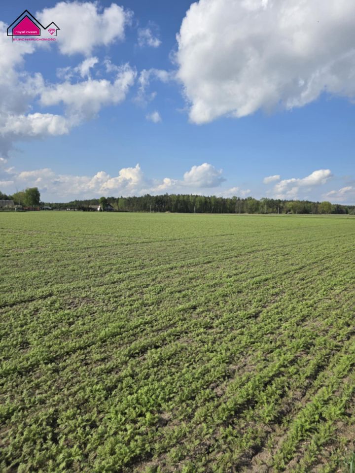 Działka rekreacyjna Skrzynka. Zdjęcie 2