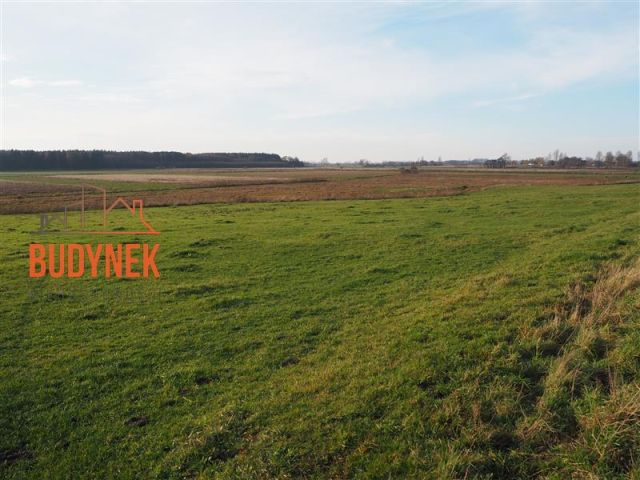 Działka rolna Krupy. Zdjęcie 12