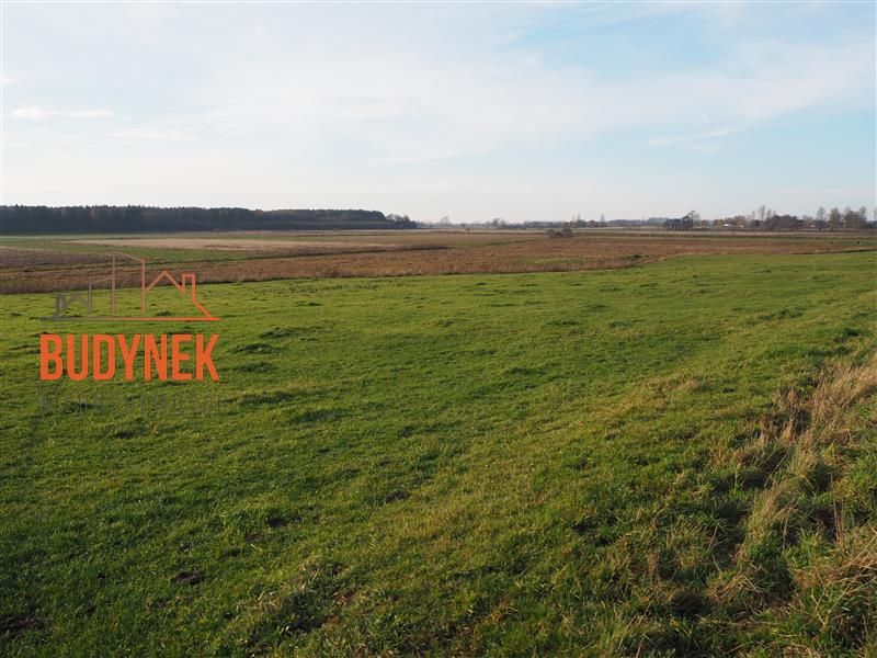 Działka rolna Krupy. Zdjęcie 12