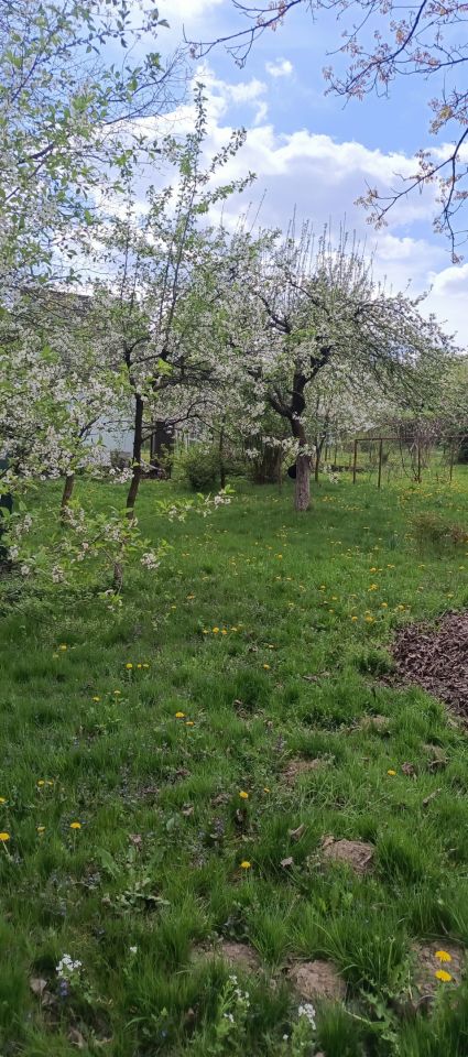 Działka rod Łapczyca. Zdjęcie 8