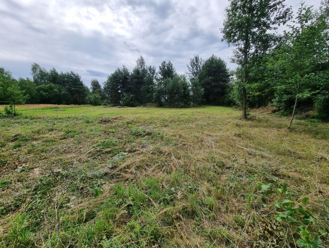 Działka budowlana Węgrów, ul. Karola Szamoty. Zdjęcie 9