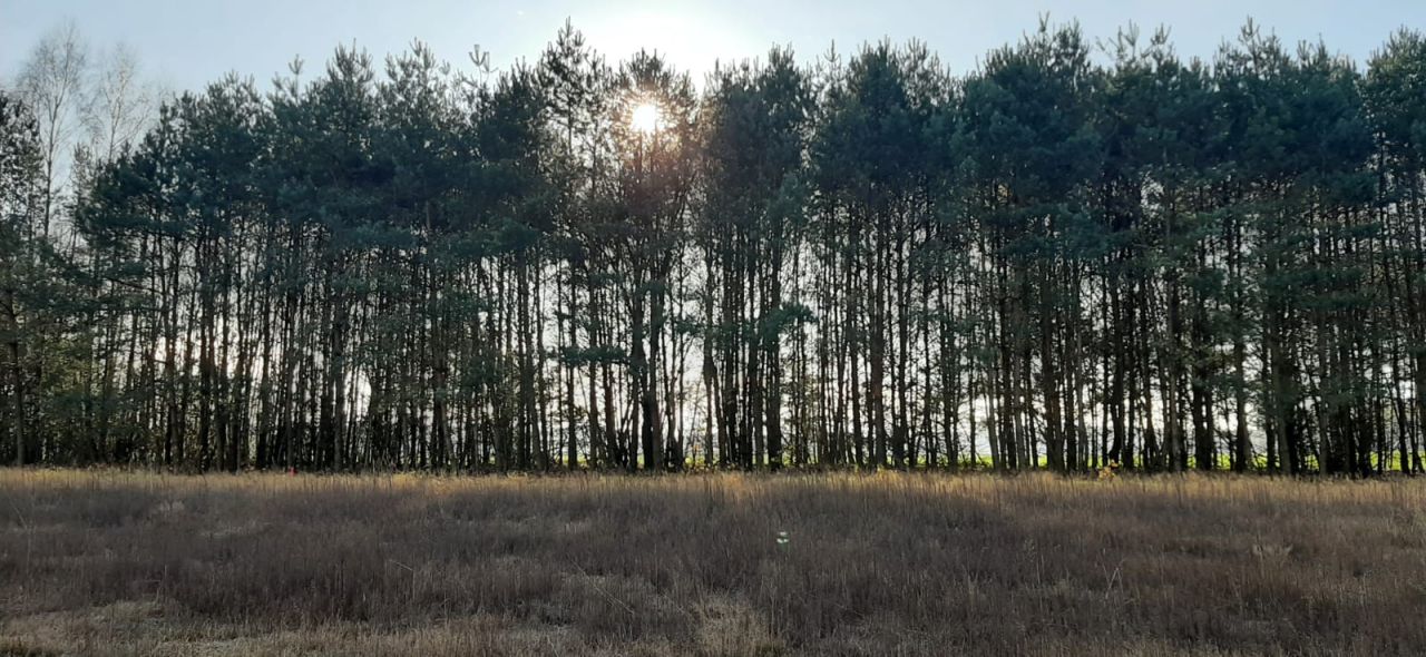 Działka rekreacyjna Skęczniew. Zdjęcie 7