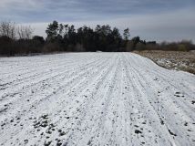 Działka rolna Wolica, Wolica. Zdjęcie 4