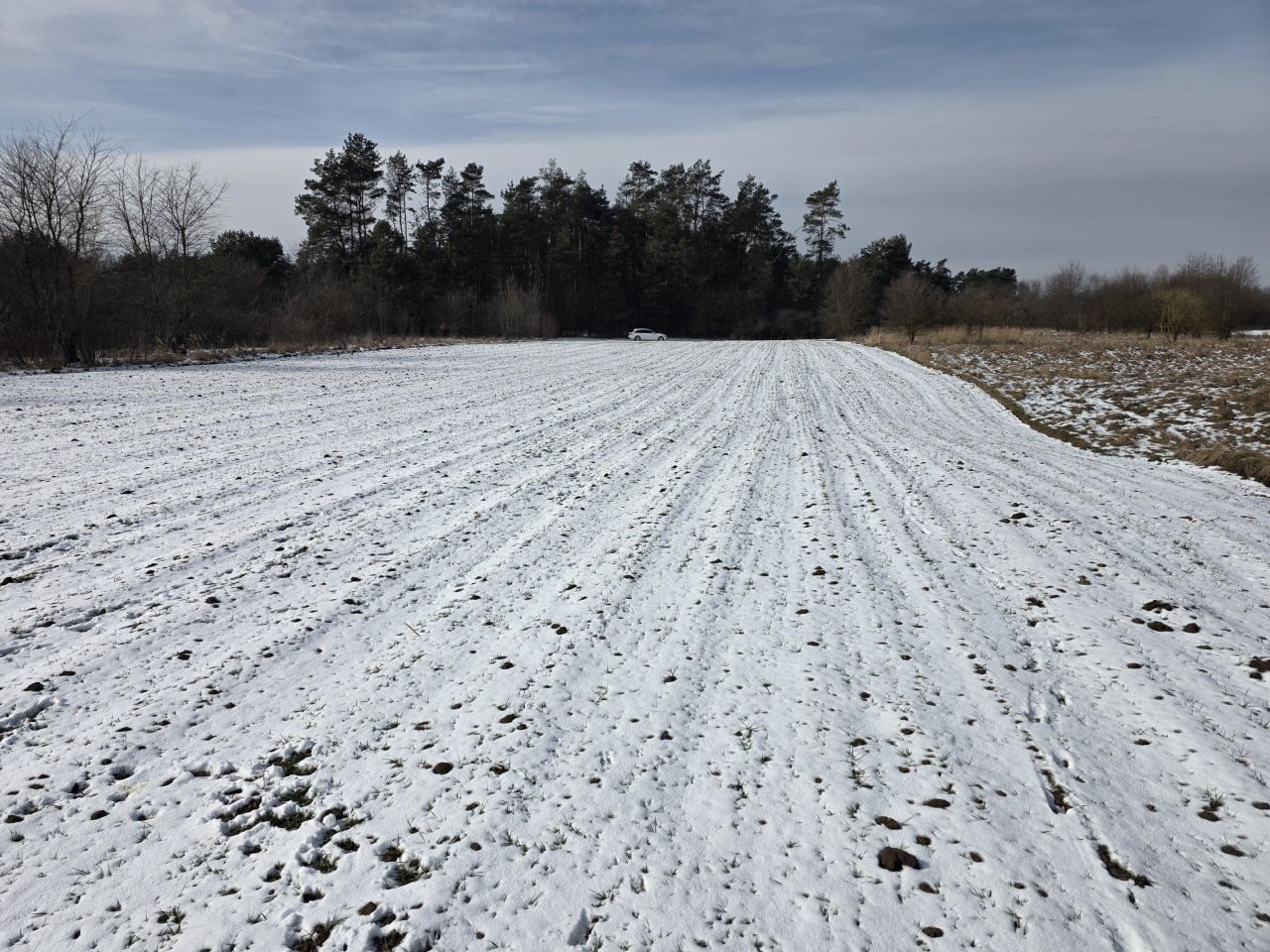Działka rolna Wolica, Wolica. Zdjęcie 5