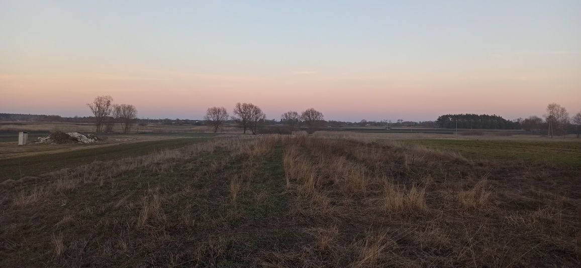 Działka rolno-budowlana Pełczyn. Zdjęcie 4