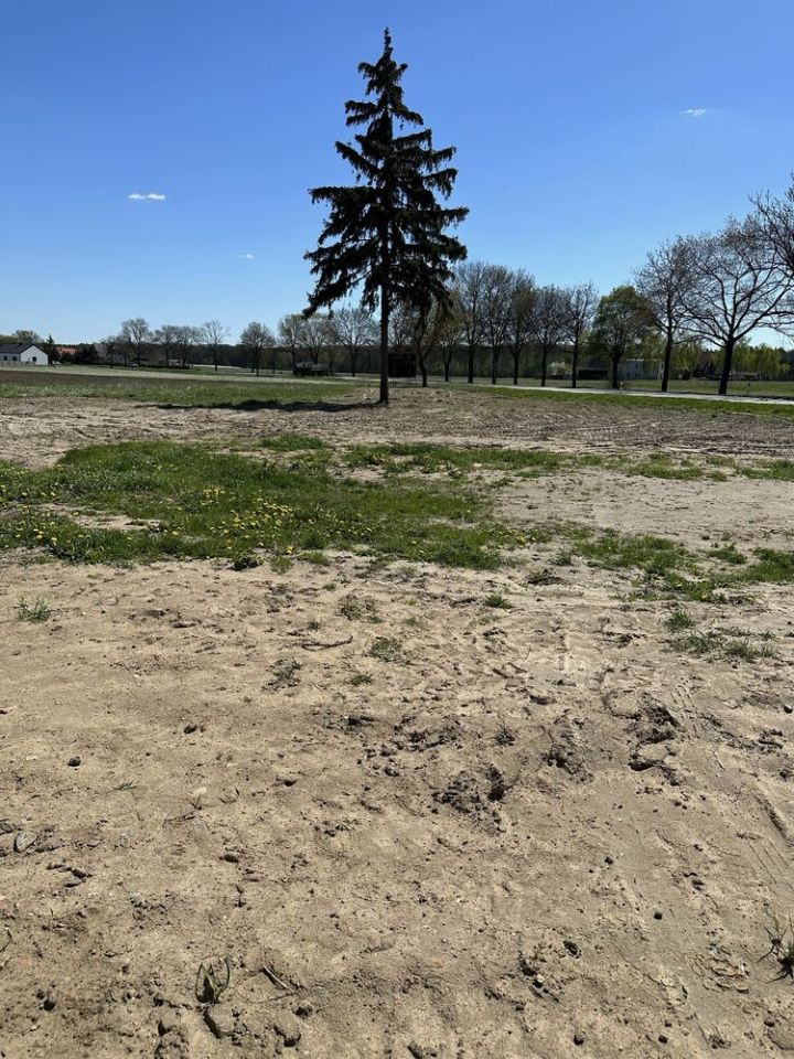 dom wolnostojący Smoszew. Zdjęcie 5