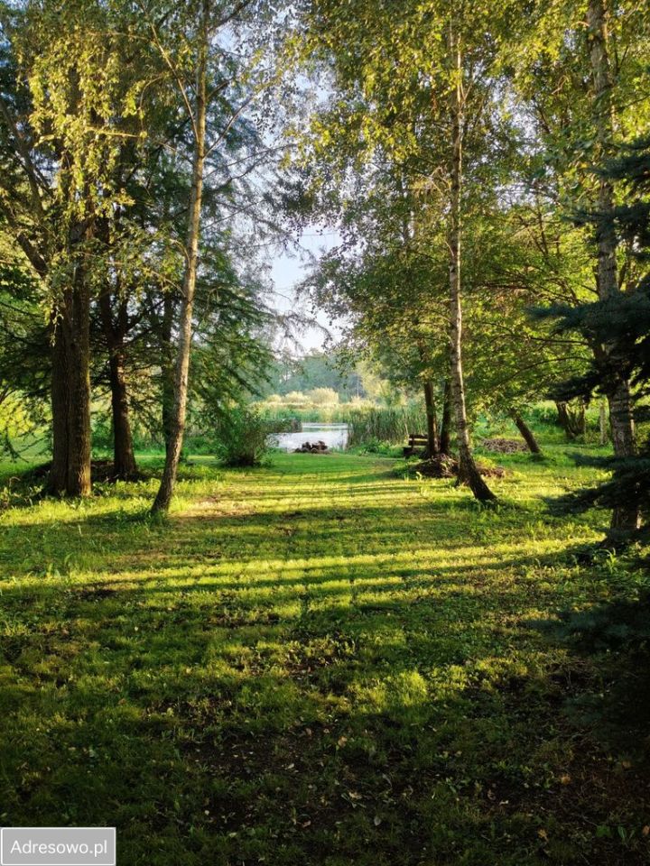 siedlisko, 3 pokoje Cicibór Mały. Zdjęcie 15