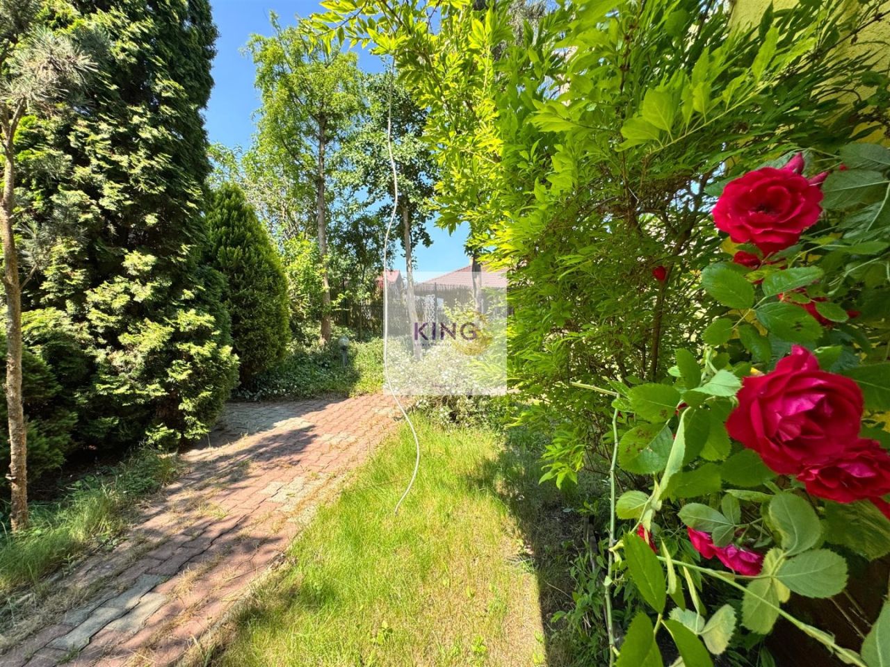 dom wolnostojący, 5 pokoi Gryfino Górny Taras. Zdjęcie 28