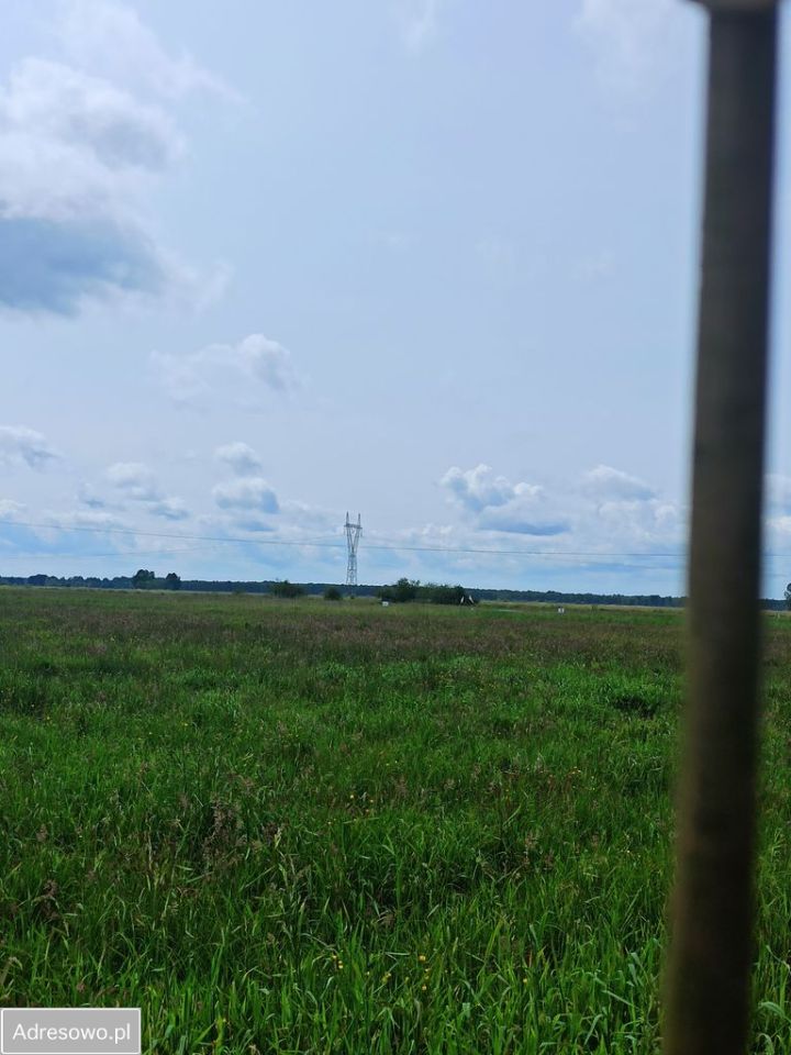 Działka rolna Racimierz. Zdjęcie 5