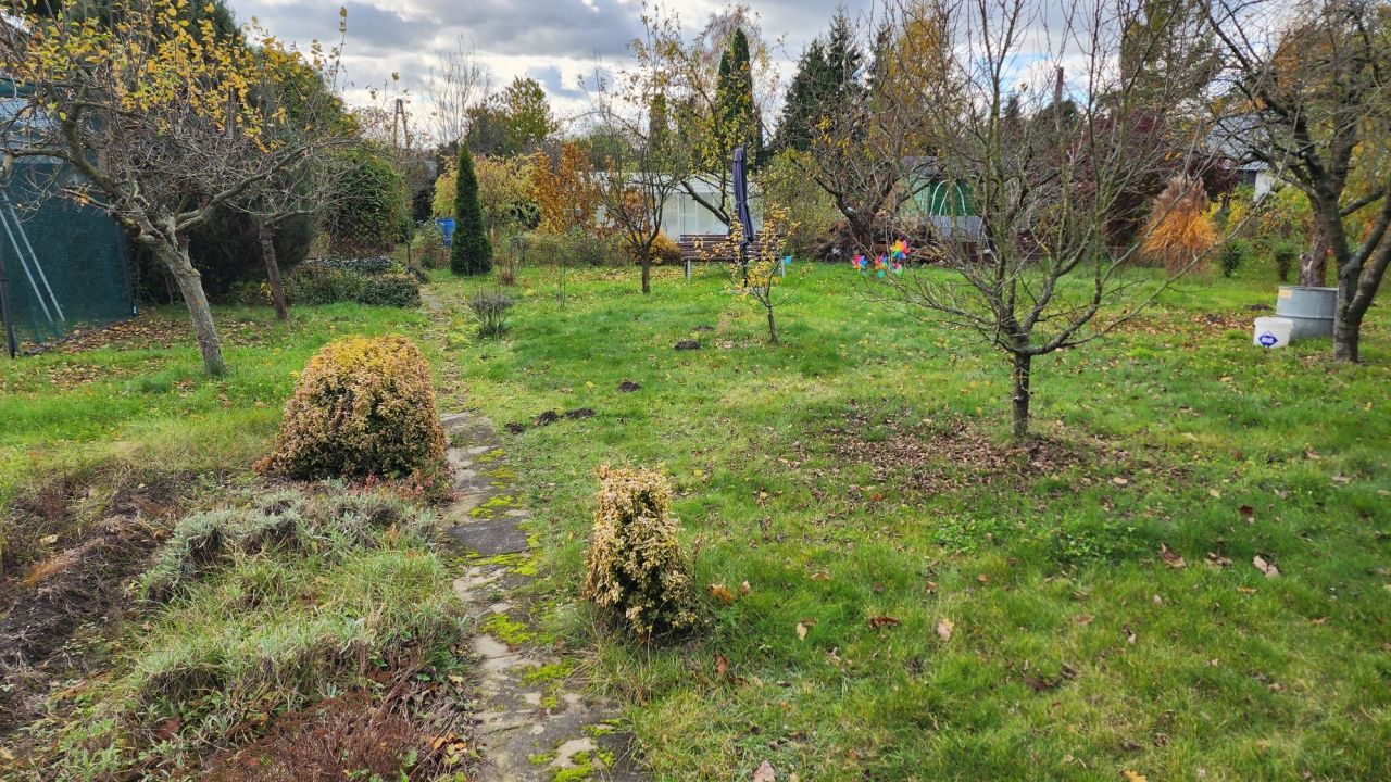 Działka rod Mława, ul. Mikołaja Kopernika. Zdjęcie 5