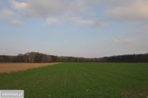 Działka rolno-budowlana Radzewo. Zdjęcie 3