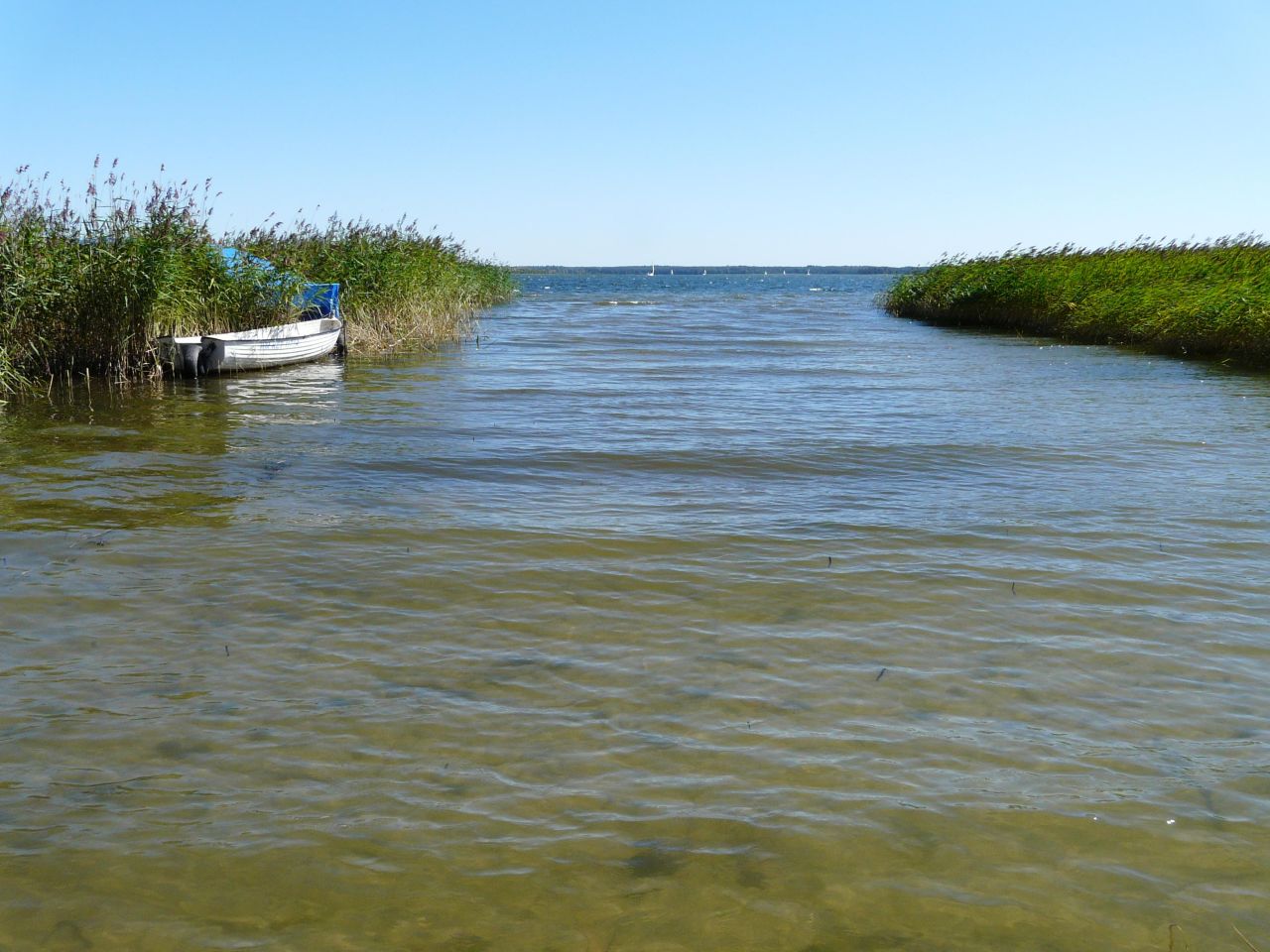 Działka rekreacyjna Radzieje. Zdjęcie 28