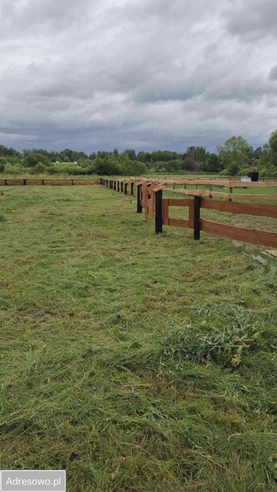 Działka budowlana Dąbrowa. Zdjęcie 4