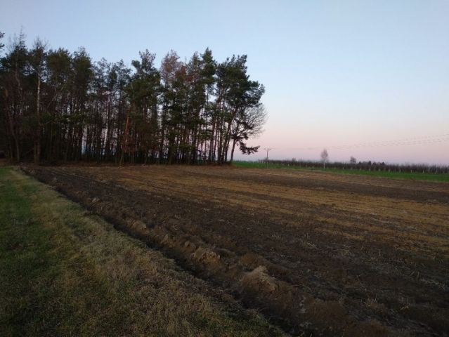 Działka rolno-budowlana Zalesie. Zdjęcie 1
