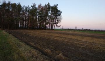 Działka rolno-budowlana Zalesie