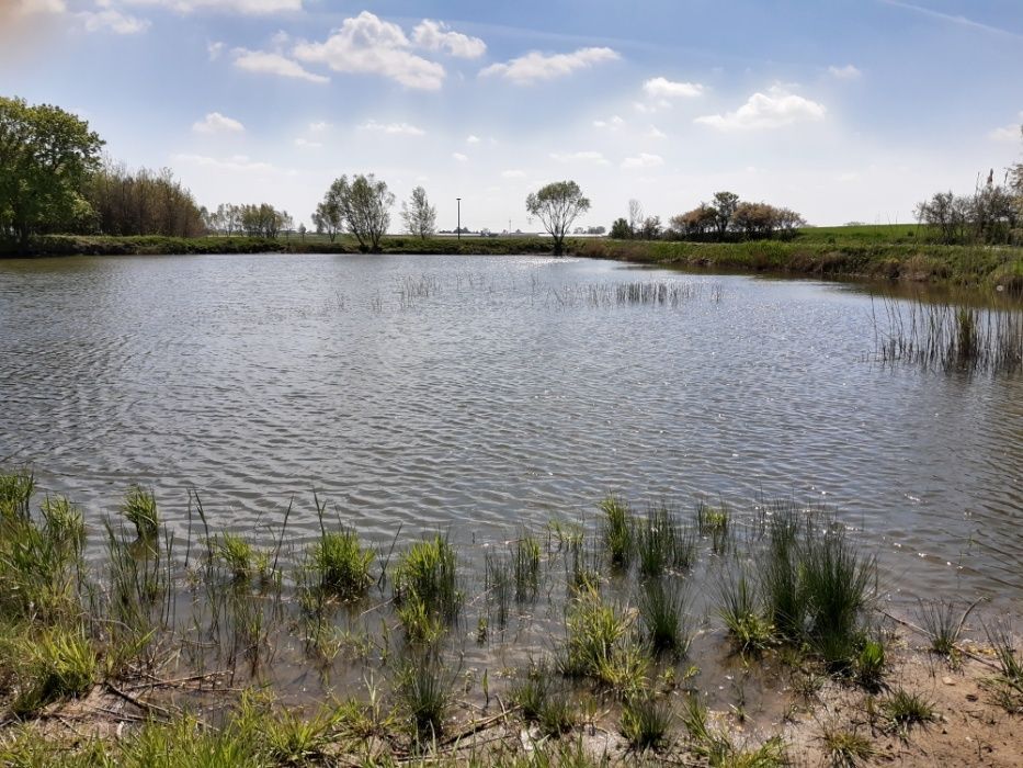 Działka rekreacyjna Kolonia Strzegocin. Zdjęcie 8