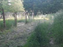 Działka rekreacyjna Minikowo. Zdjęcie 4