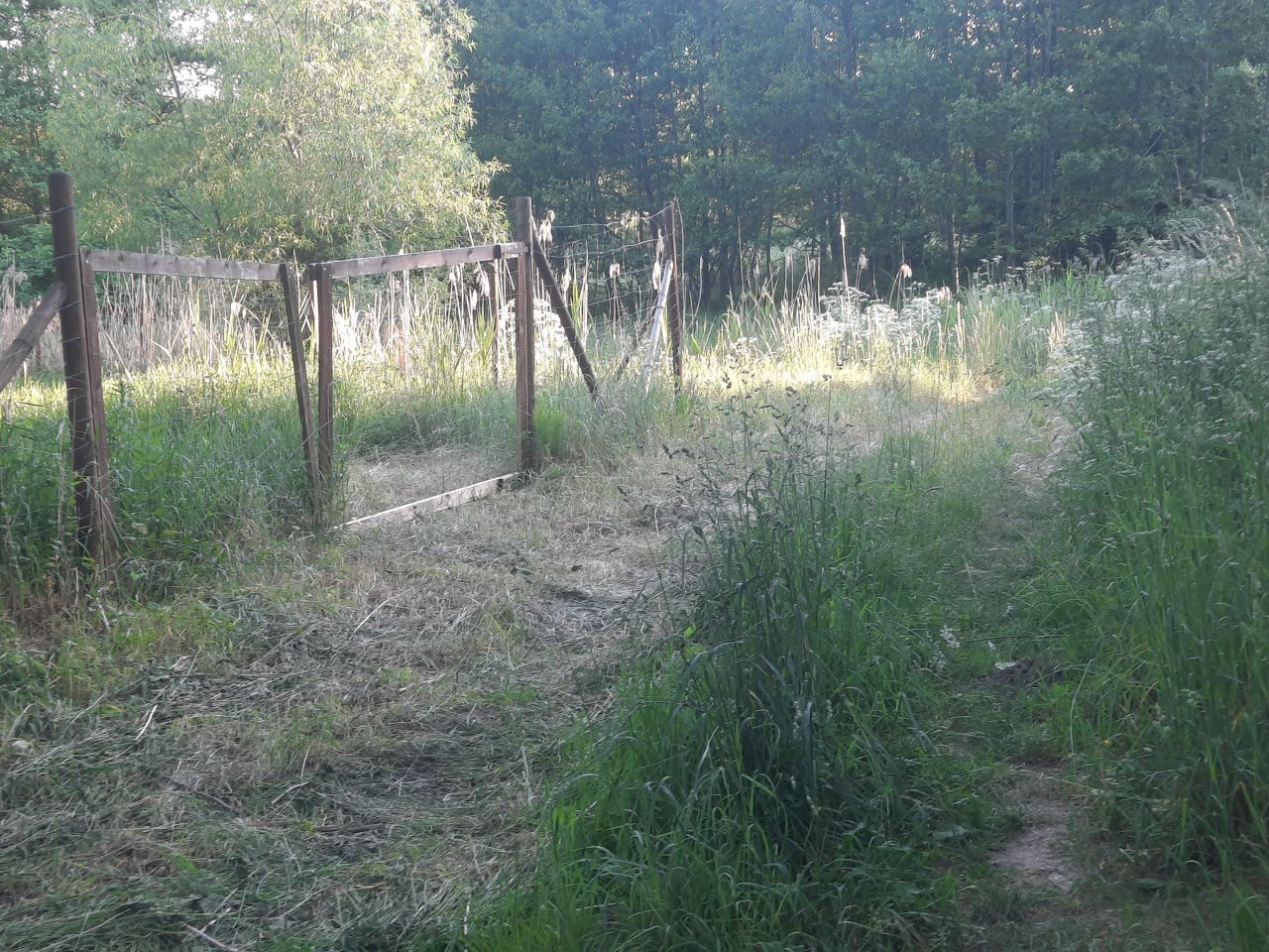 Działka budowlana Minikowo. Zdjęcie 5